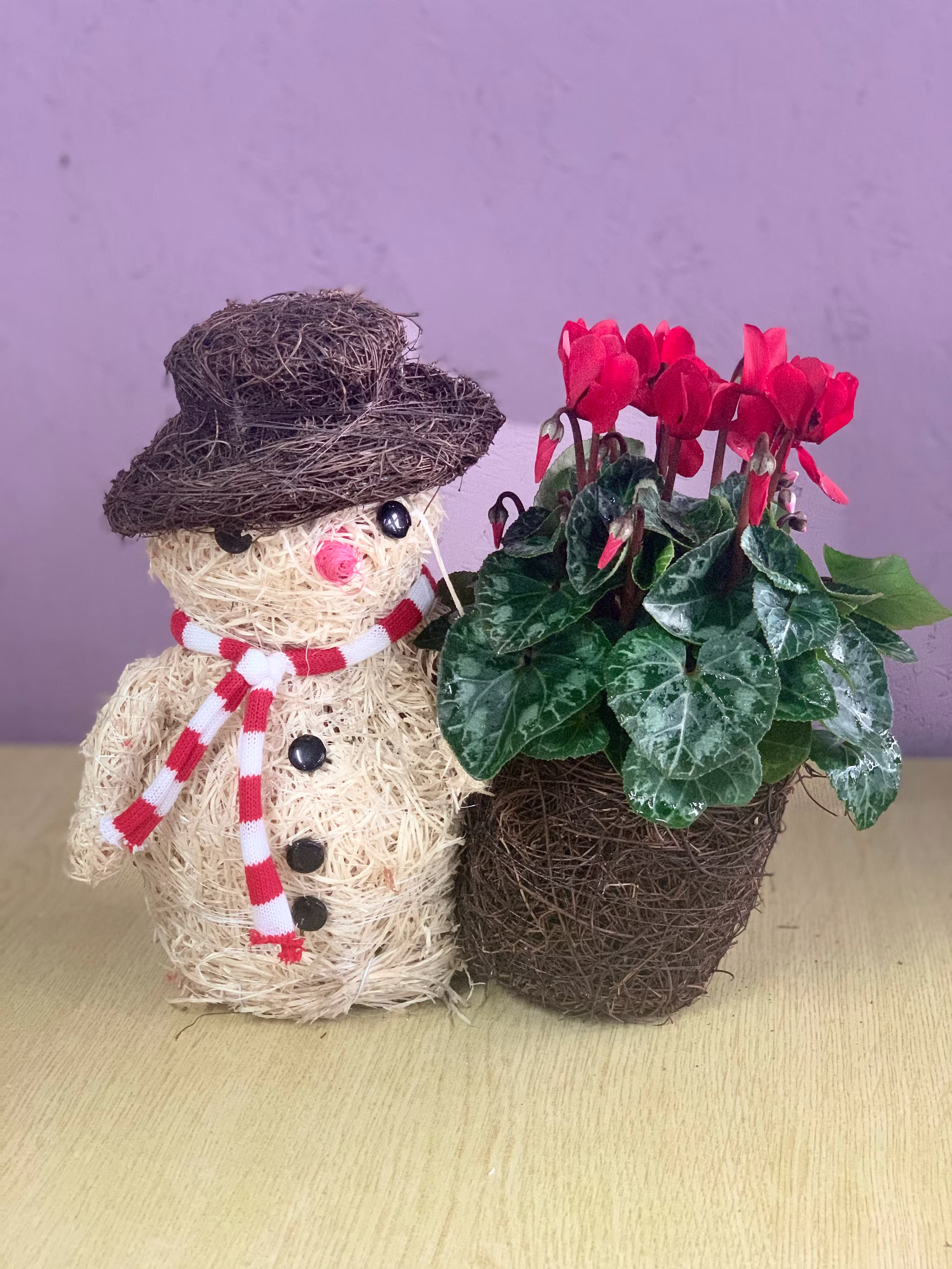 Novelty Christmas Planters