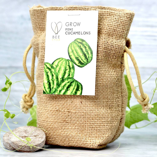 Grow Your Own Mini Melons Set