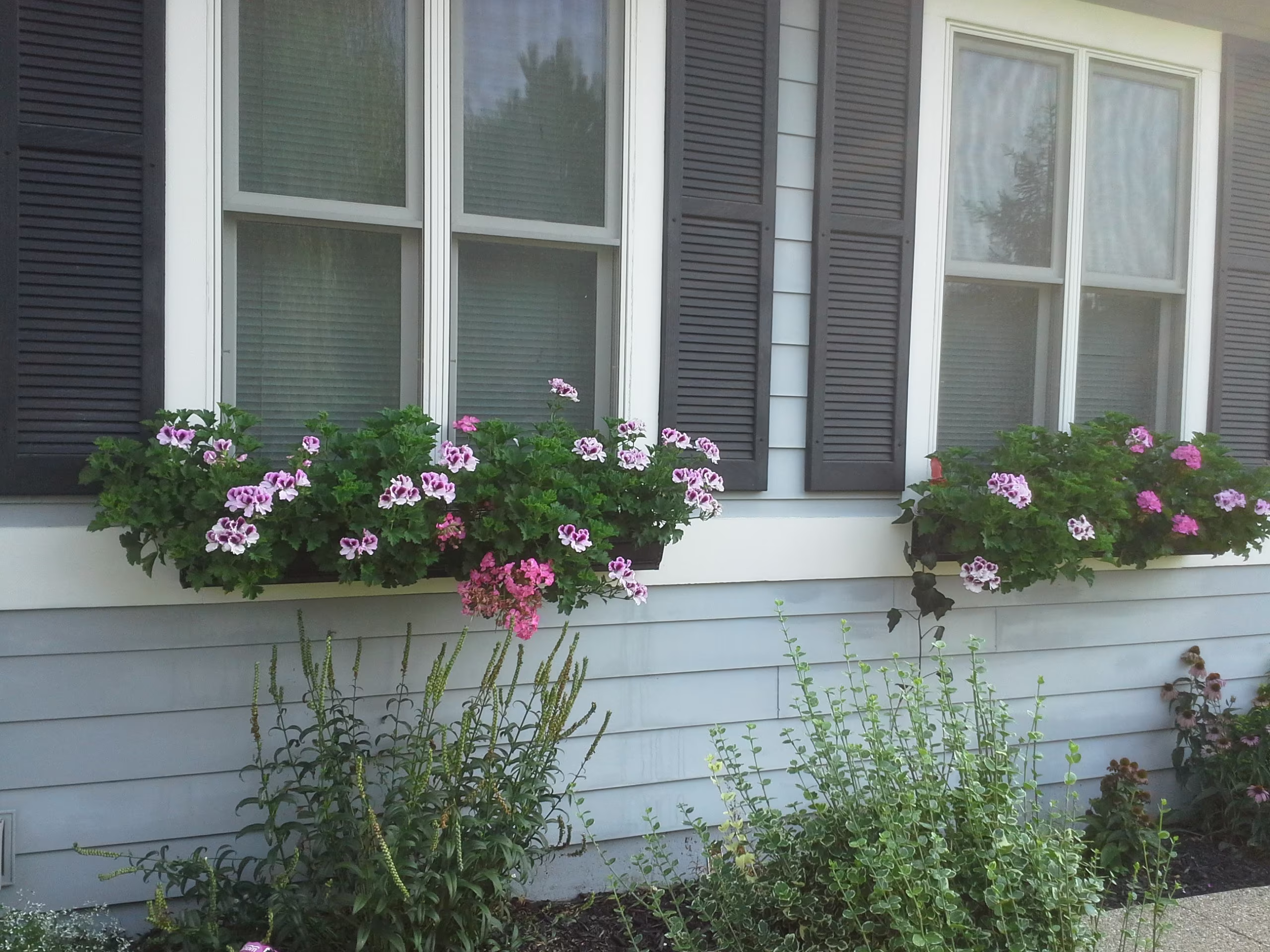 Hanging Garden Planters For Windows, Fences, Ect