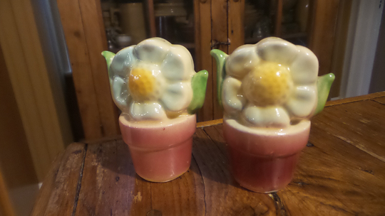 Vintage Shawnee Pottery Flowers in Pot Salt & Pepper Shaker Set