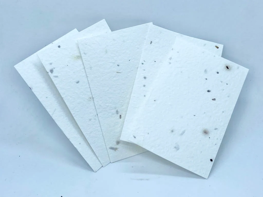 Blank Wild Flower Seeded Business Cards - Created From Handmade Seed Card, Made in The UK