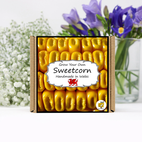 Grow Your Own Sweetcorn Vegetables Kit. Seeds Growing Kit. Gardening Gifts For Women, Men, Him, Her, Grandad & Children