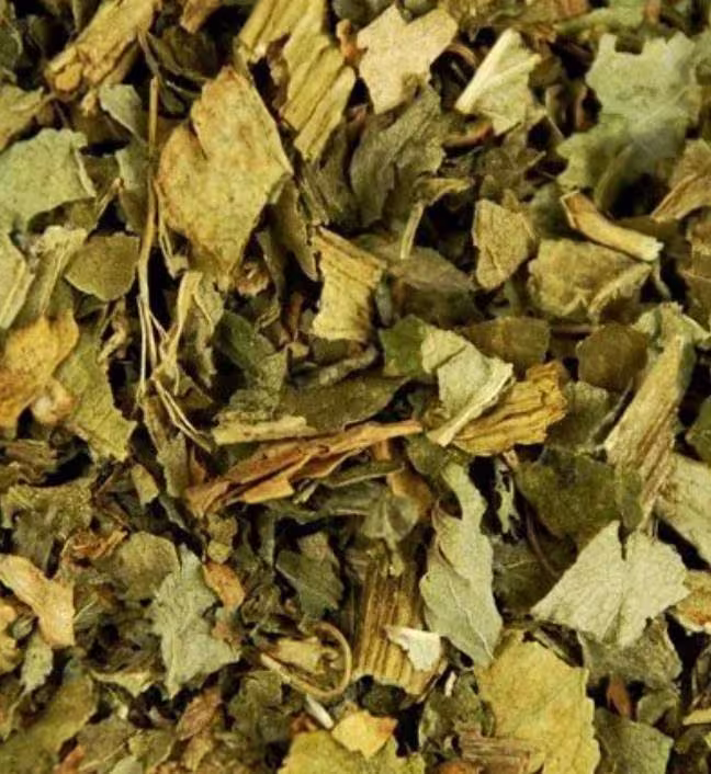 Angelica Dried Herb, Pagan, Wiccan, Witchcraft, Spells, Rituals, Incense, Apothecary, Witch
