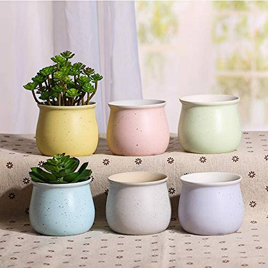 Set Of Six Ceramic Mini Planters