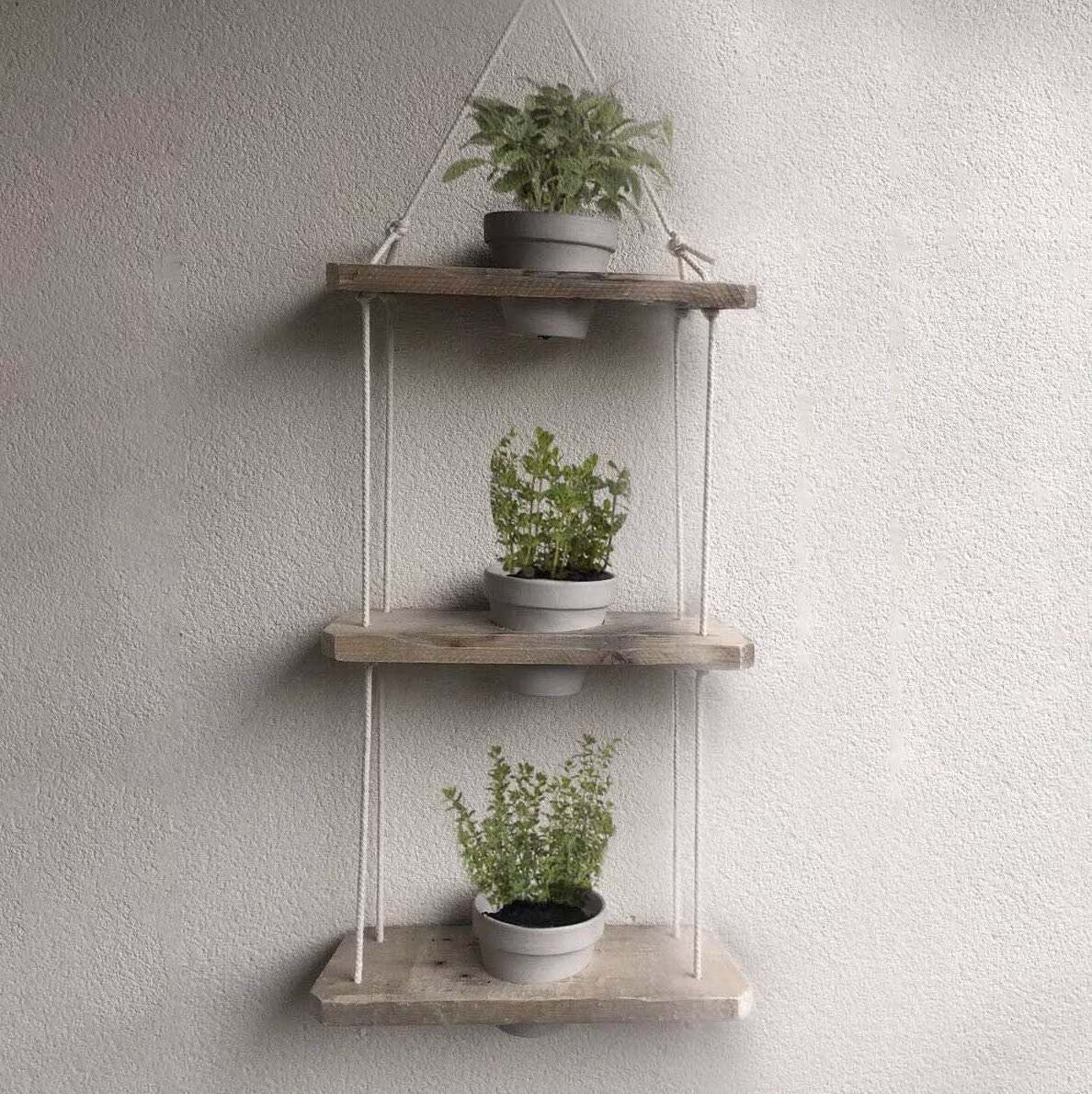 Single Hanging Herb Garden Planter