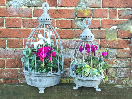 French Style Verdigris Caged Metal Planter Set Of 2 Ideal Table Decoration