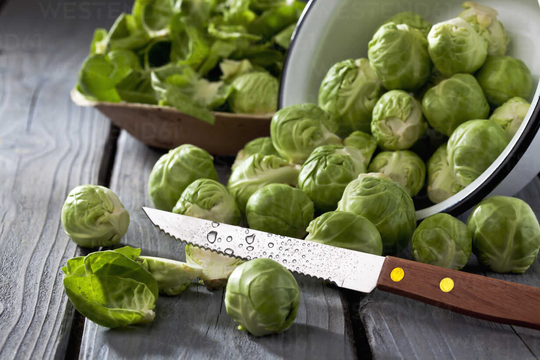 Brussels Sprout Darkmar 21 Seeds - Heirloom Vegetable Cabbage
