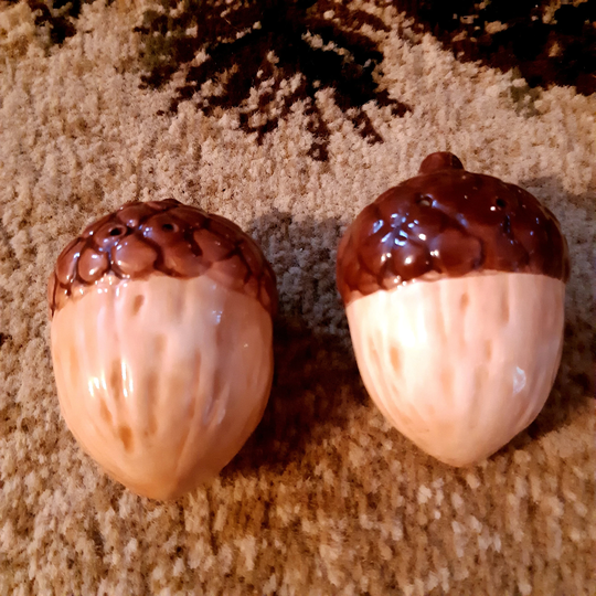 Ceramic Fallen Acorn Salt & Pepper Shakers