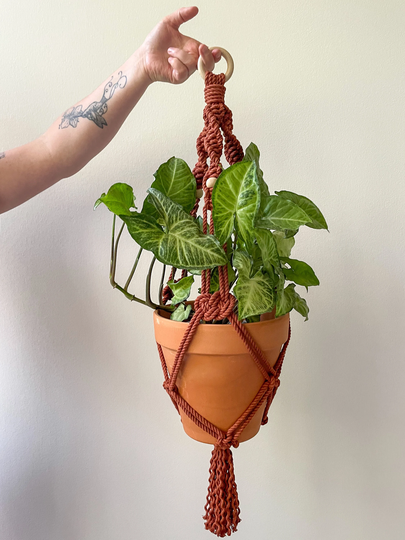 Large Plant Hanger | Macrame Elemental Fiber
