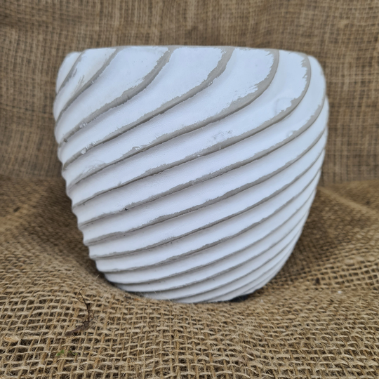 Concrete White Wash Planter