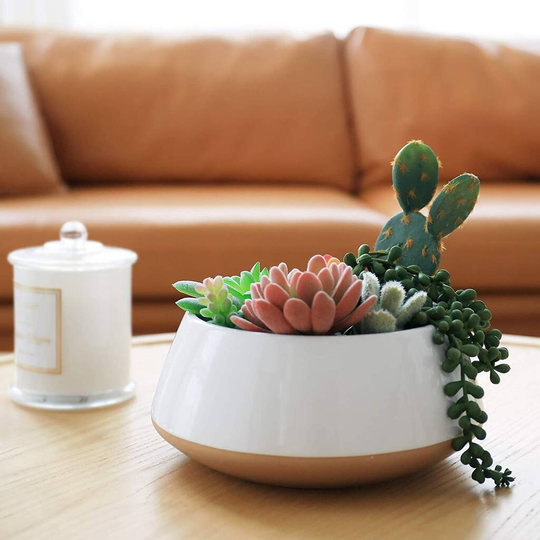 Large Ceramic Succulent Pot Indoor Outdoor Garden