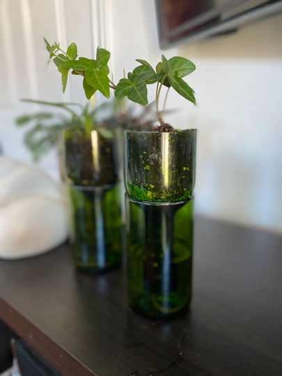 Self-Watering Pot Wine Bottle