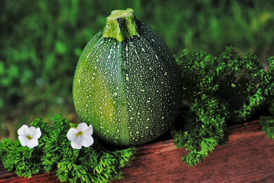 Batch Of 25 Seeds Round Fruit Nice Squash-Zucchini