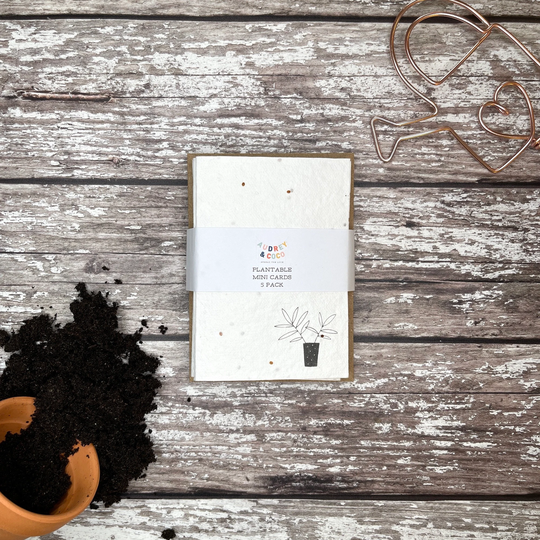 Plantable Seed Notelets, Plantable Mini Card 5 Pack