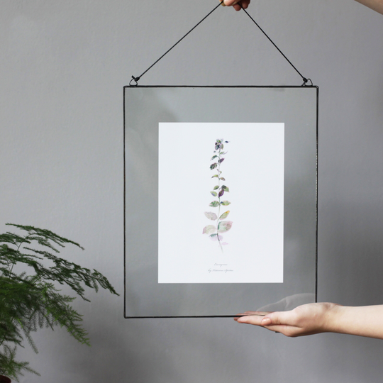 Plant Wall Hanging, Botanical Framed Art, Stained Glass Decor, Apothecary Herb, Euonymus Flower in Floating Frame, Nature Inspired