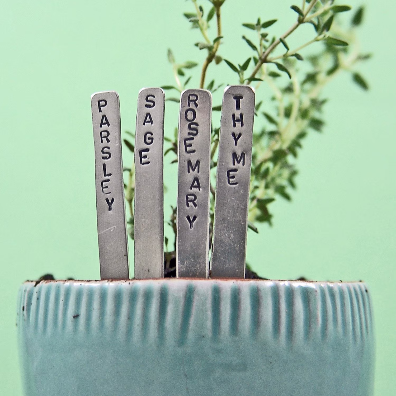 Herb Garden Plant Markers - Mini Nickel Individually Or in Sets As Seen Woman's Day Magazine