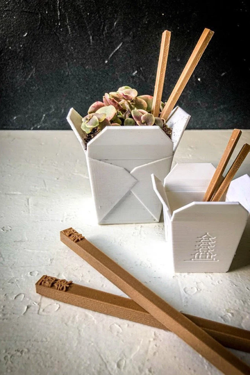 Small Or Set Of 2 | Small & Mini Chinese Take Out Planter, Succulent Cactus Planter Pot