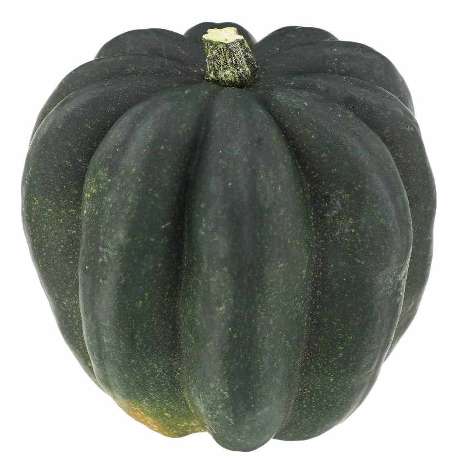 Acorn Squash Plant Seeds