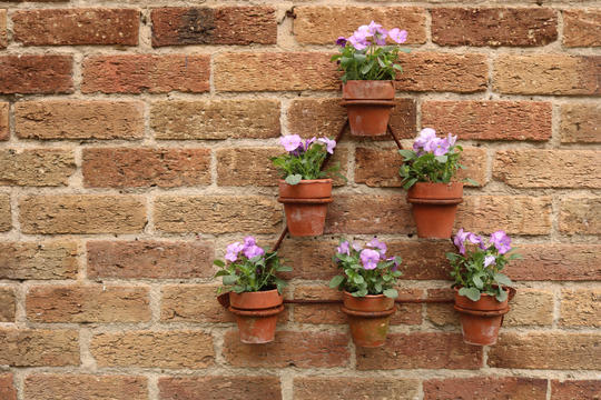 Metal Handmade Plant Stand Auricula Theatre Wall Hanging Display For Flower Pots