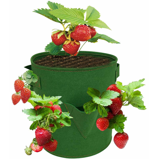 Planting Bag 10 Gallon Strawberry Grow Bags with 8 Grow Bags Planting Box Vegetable Grow Bag Breathable Garden Grow Bag with Handles for Potato