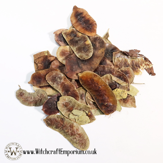 Senna Pods - Herb Organic Natural Vegan Pagan Wicca Wiccan Spell Potion Ritual Magic Magick Energy Tea