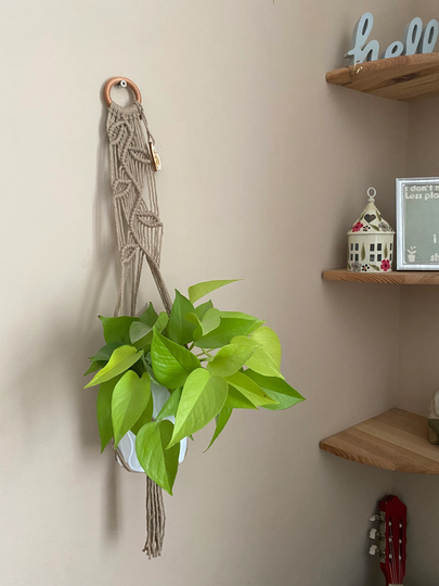 Taupe Wall Hanging Plant Hanger, Falling Leaf Pattern, Indoor Pot Holder, Macrame Boho Living Room Decor, Houseplant Hanger