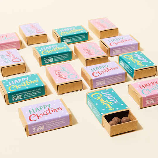 15 Christmas Stocking Filler Wildflower Seed Boxes