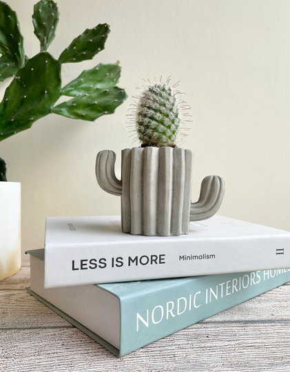Concrete Cactus Planter|Indoor Planter|Concrete Pot|Housewarming Gift|Cactus Gift