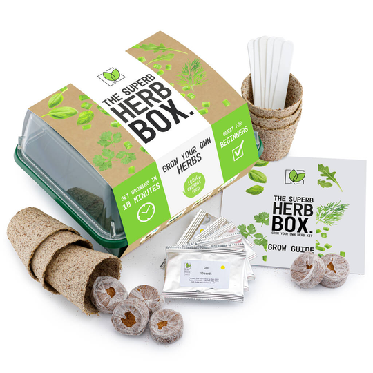 Grow Your Own Herb Kit - Six Herb Varieties To Grow