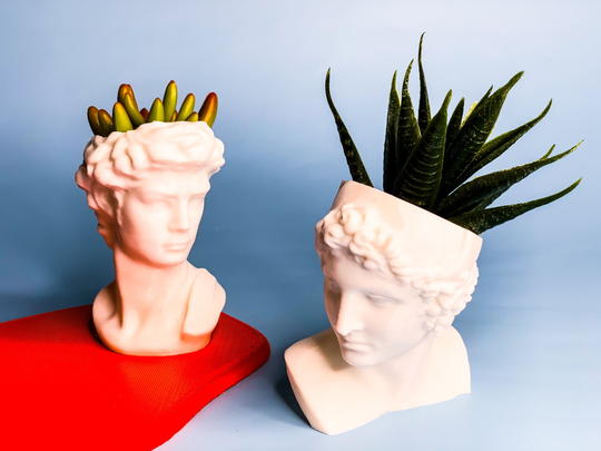 Bust Head Planter| Set Of 2| Planter Bundle Set |Head Planter|Greek Bust Planter|Succulent Planter|Desk Decor|Indoor Garden| Theclassic2