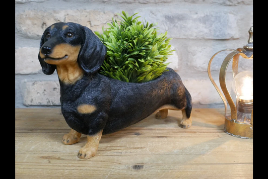 Dachshund/Sausage Dog Planter