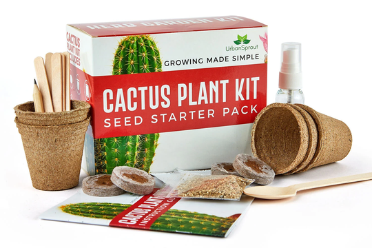 Cactus Kit - Grow Your Own Cacti Plants Indoors -Gardening Gift