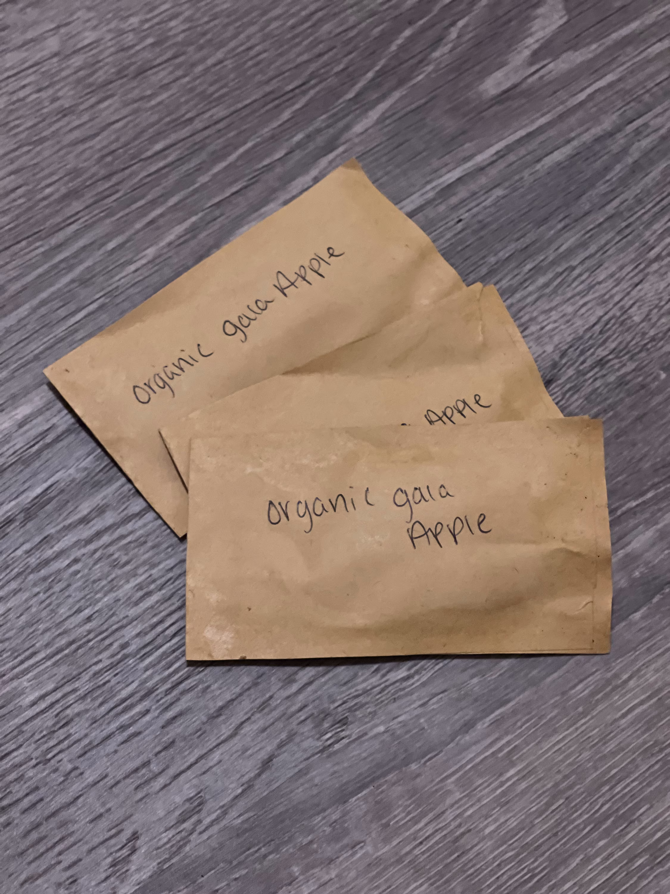 Organic Non Gmo Gala Apple Seeds