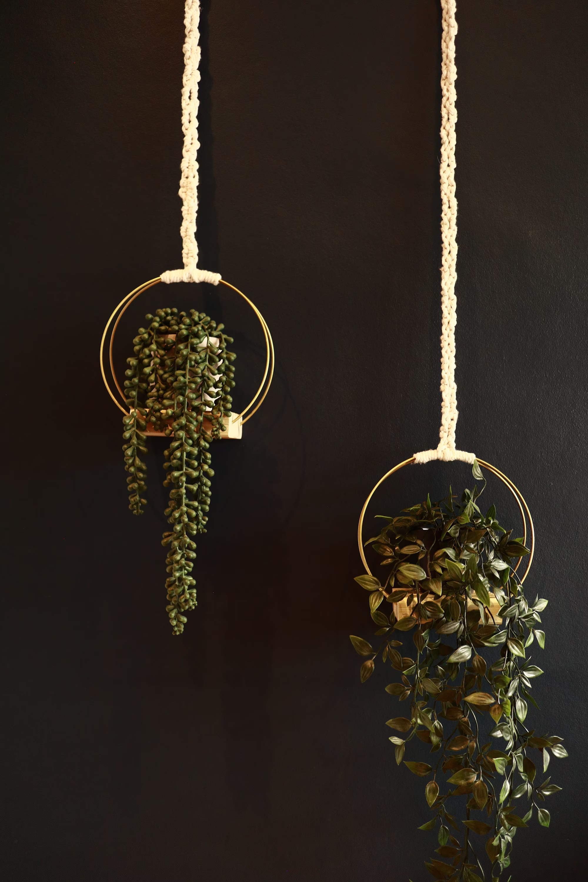 Macrame Handmade Gold Metal Ring Plant Hangers Planter || The Madeira Boho Home Decor Interior Sustainable