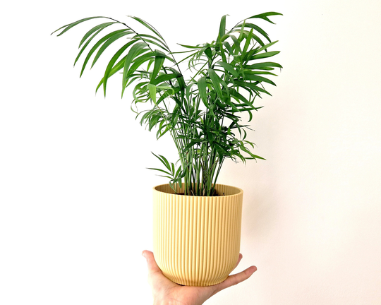 Modern Yellow Indoor Planter, Ribbed Decorative Cache Pot