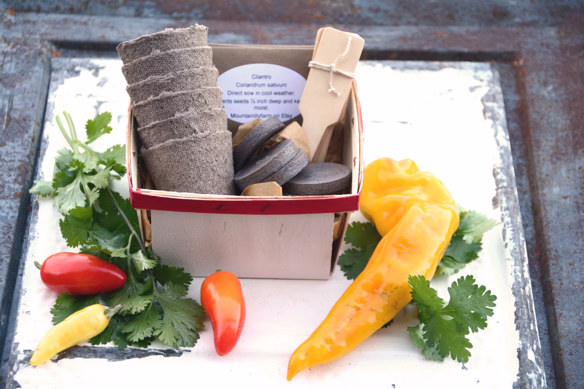 Salsa Garden Kit, Easy To Grow Garden, Great Gift For Mom Or Housewarming Gift, Basket With Box Included