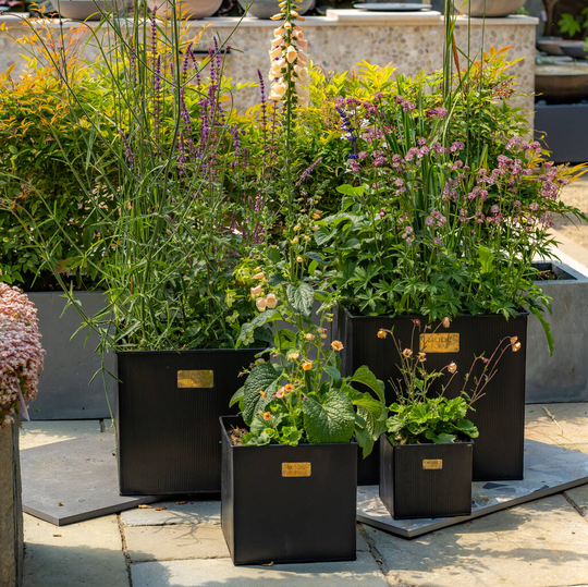 Mode Cubis Planter