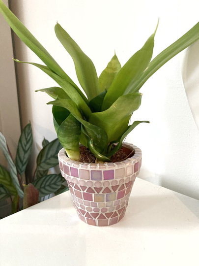 Handmade Mini Pink Mosaic Indoor | Outdoor Plant Pot Home Decor Birthday Gift Cactus Planter