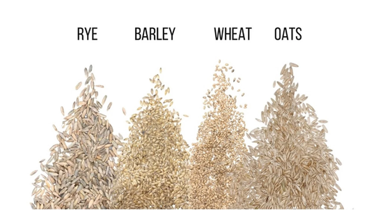 Cat Grass Seeds For Growing | 4 Way Blend, Rye, Wheat, Oats & Barley Made in Usa, Ships From Iowa