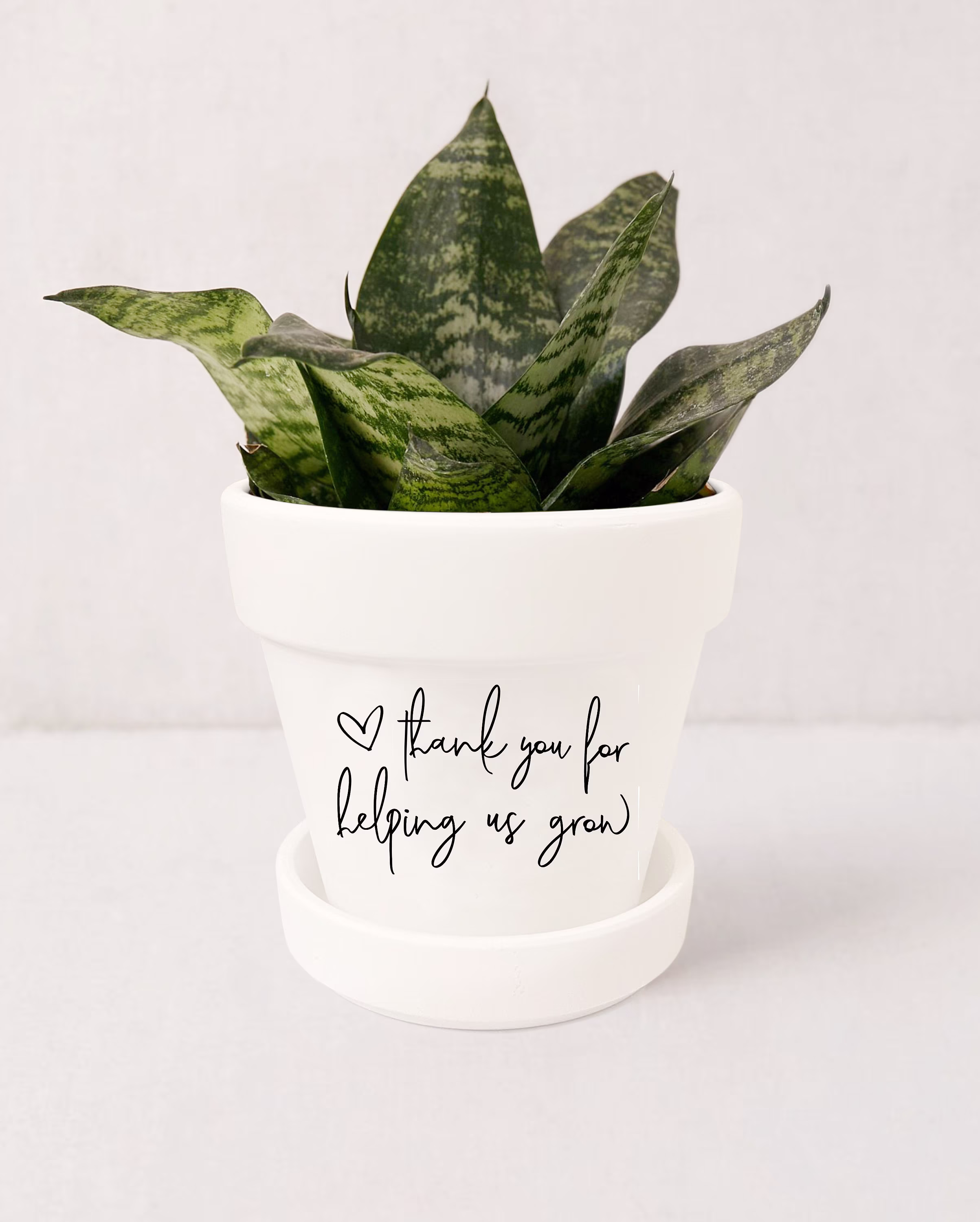 Thank You For Helping Us Grow Plant Pot | Gift Succulent Indoor Planter with Saucer Mom Not Included | White
