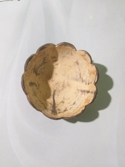 Natural & Organic Coconut Bowl - Made From Eco Friendly Sustainable Shells -Smooth Finish Salad/Smoothie , Plate, Trinkts