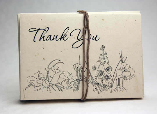 Seed Paper Thank You Cards Blank Inside Recycled Lotka Cut Edge Set Of 15