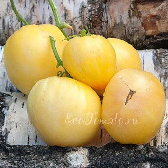 Tomato White Cherry About 20 Seeds