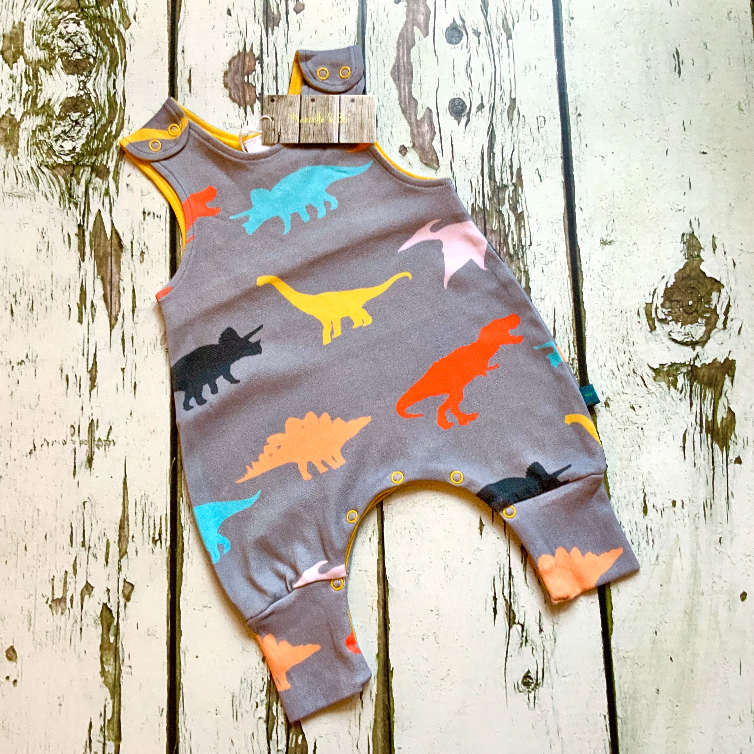 Ready To Ship Organic Dinosaur Romper, Baby Clothes, Girls Dungarees