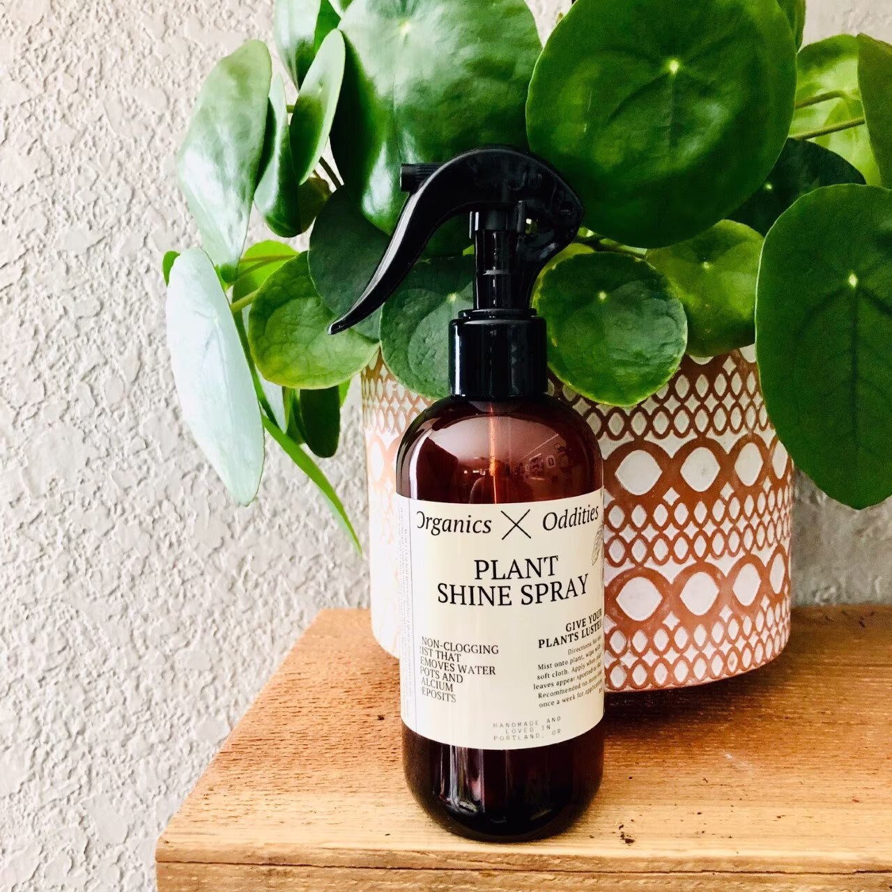 Organic Plant Shine Spray, Care, Essentials, Pest Control