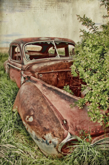 Hidden Gem 12x18 Fine Art Photo