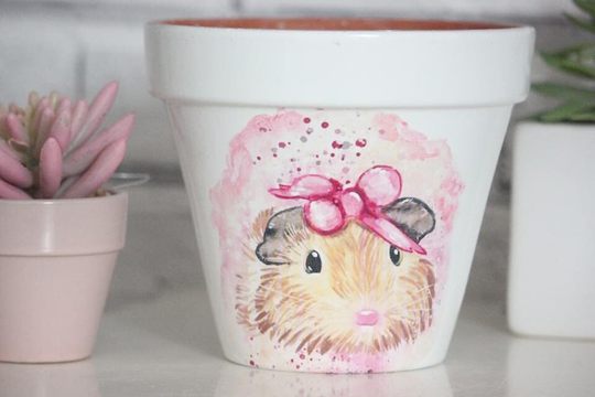 Guinea Pig Plant Pot, Gift, Indoor Pot