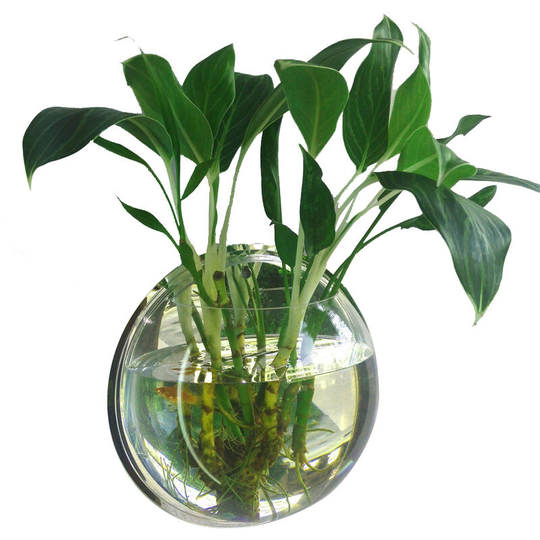 Home Decoration Wall Mount Fish Tanks Goldfish Bowl Acrylic Hanging Aquariums Flowerpot Flower Vase, 230mm diameter & type 1 - 230mm diameter & type 1