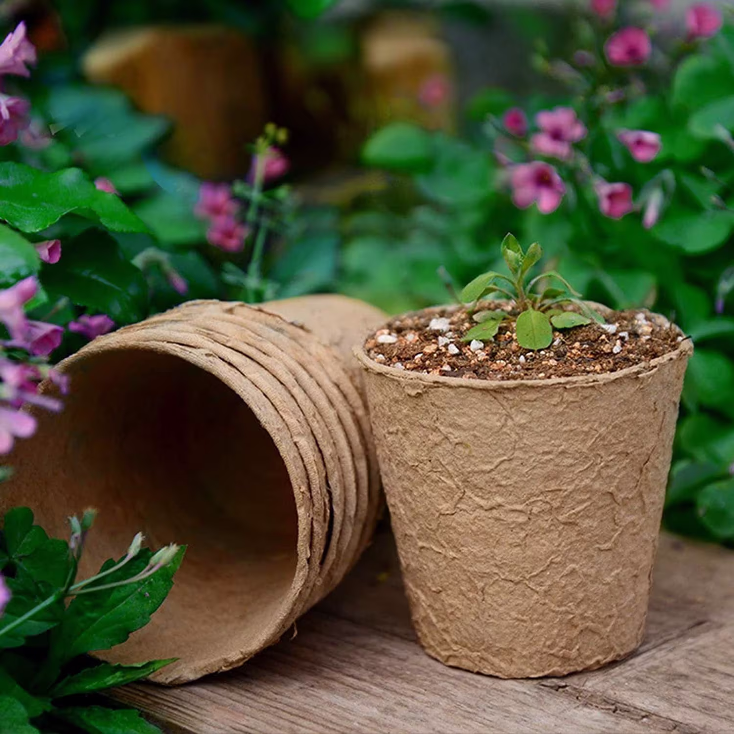 40/80/120 Nursery Seed Cup Plant Pot 8cm Round Pulp Peat Biodegradable Fibre Paper Seedling Bag Vegetable Planting Flower For Garden