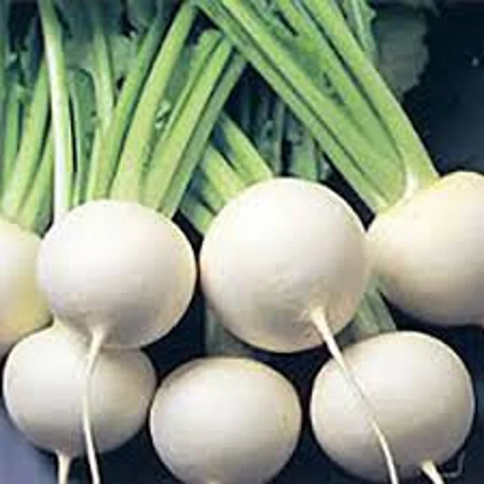 Shogoin Turnip, Us Heirloom Organic Non Gmo Seeds, Free Gift With Order